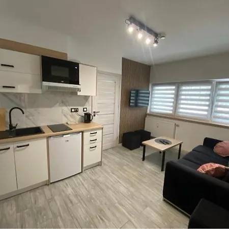 Sara Apartament Z Sauna Ustron Exterior photo