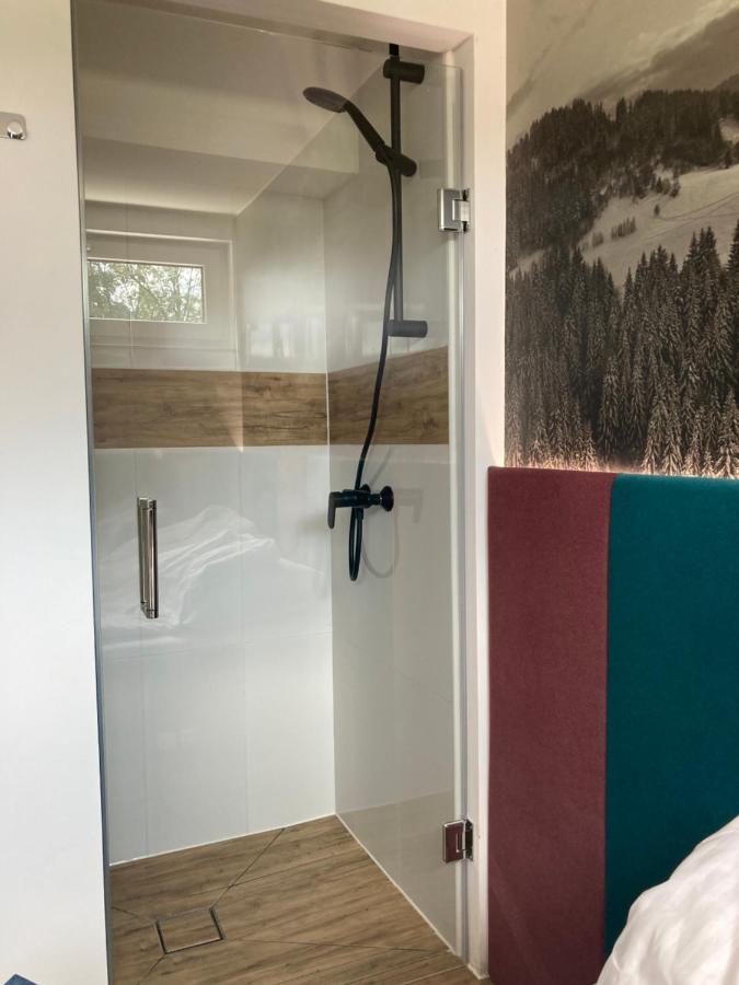 Sara Z Sauna Apartment Ustron